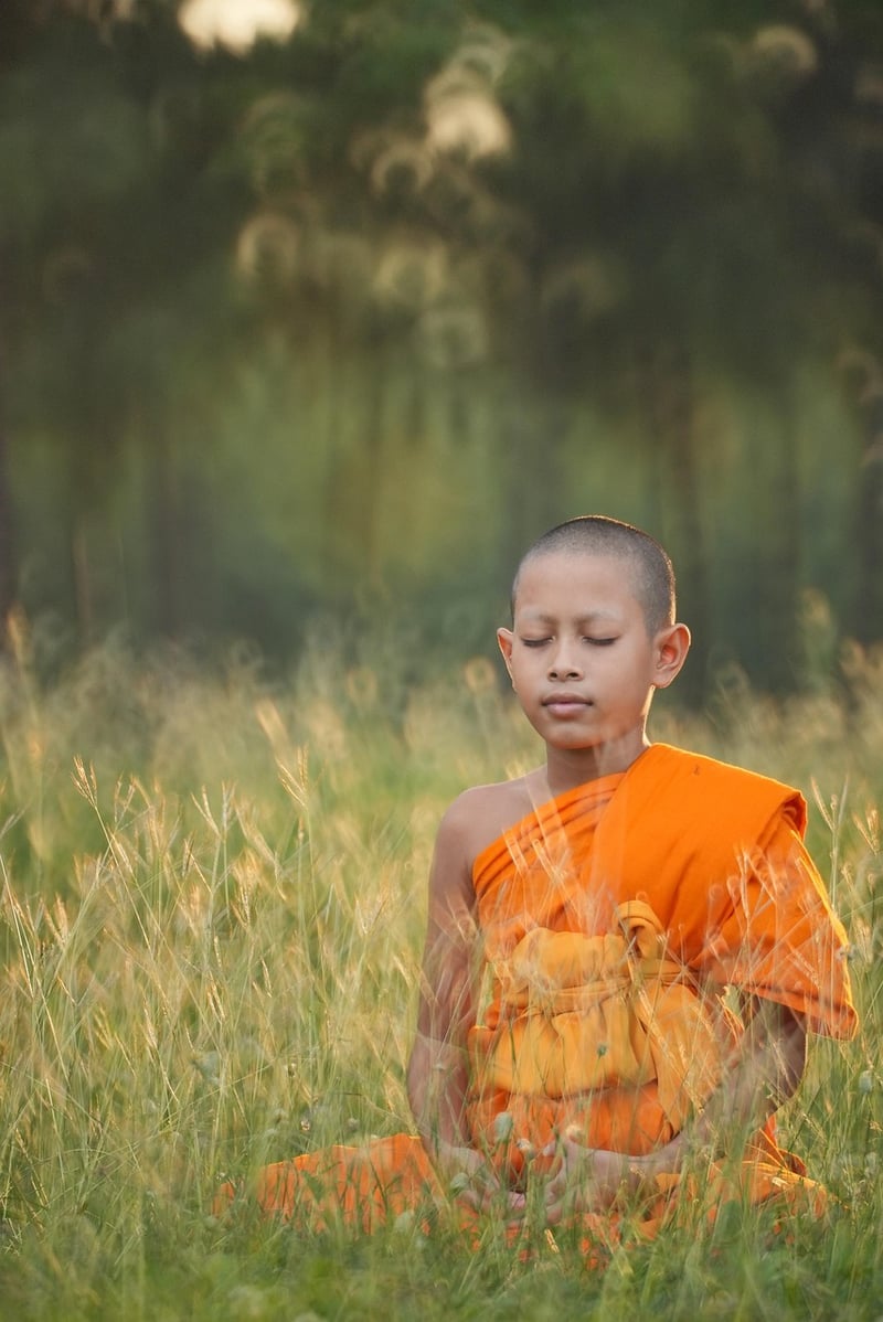 Holistic Wellness